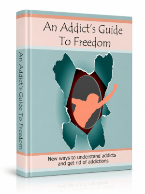 Addict's Guide To Freedom